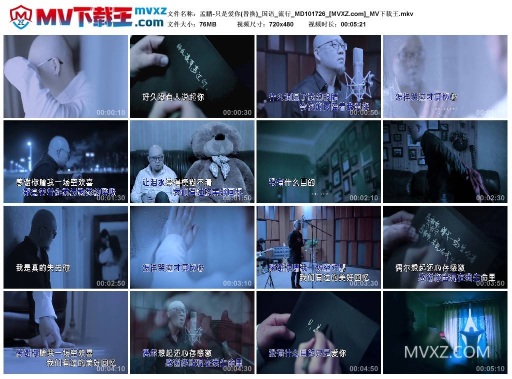 孟鹏-只是爱你(替换)_国语_流行_MD101726